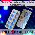 Kamagra Oral Jelly Side Effects 39